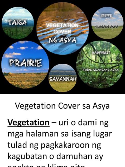 ano ang vegetation cover ng indonesia
